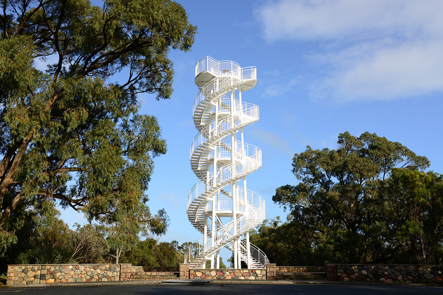 パース観光の定番！キングス・パーク Walk around Kings Park 西オーストラリア・パースに行こう！